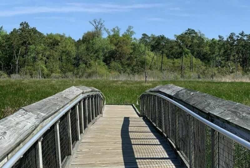 Alligator Marsh Boardwalk Trail