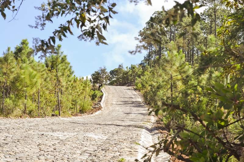 A Road To The  Bosque de la Cañada de Contreras trail