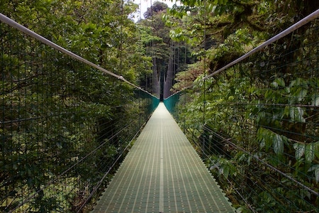 suspension bridge in monteverde, costa rica