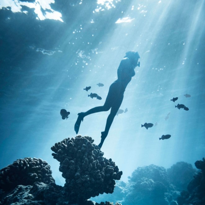Jamaica Scuba Diving: Top Dive Sites in Jamaica to Explore