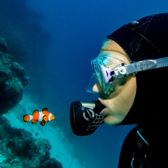 The Ultimate Guide to Scuba Diving in Miami: Top Dive Spots